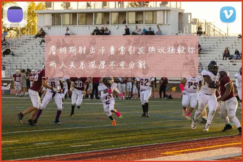 詹姆斯肘击卡鲁索引发热议杨毅称两人关系深厚不可分割