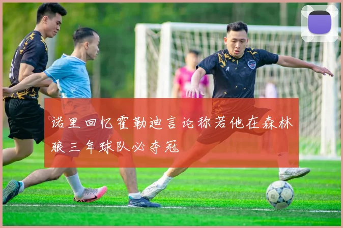 诺里回忆霍勒迪言论称若他在森林狼三年球队必夺冠