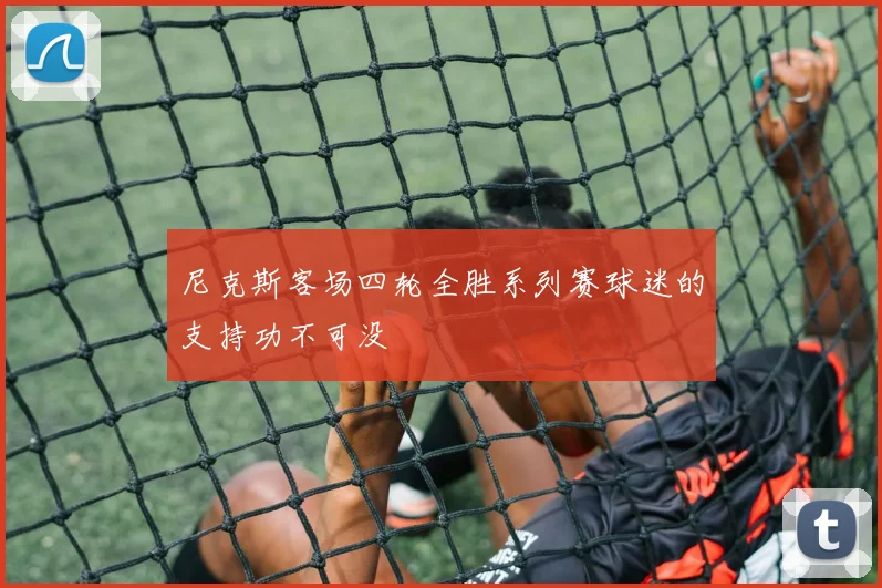 尼克斯客场四轮全胜系列赛球迷的支持功不可没