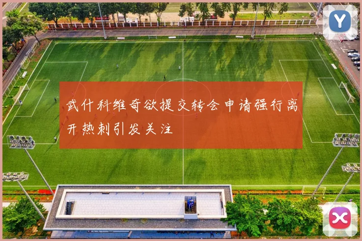 武什科维奇欲提交转会申请强行离开热刺引发关注