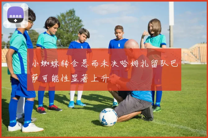 小蜘蛛转会悬而未决哈姆扎留队巴萨可能性显著上升